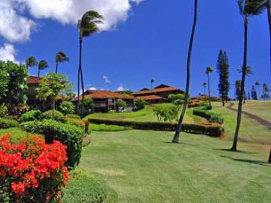 Luxury Boutique Maui Beach Resort